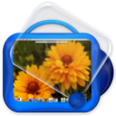 desktop flowers